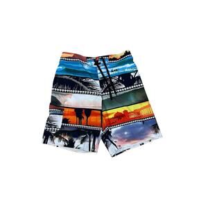 Hang Ten Board Shorts Lined Swim Trunks Mens Size X-Large Multicolor Beach Scene